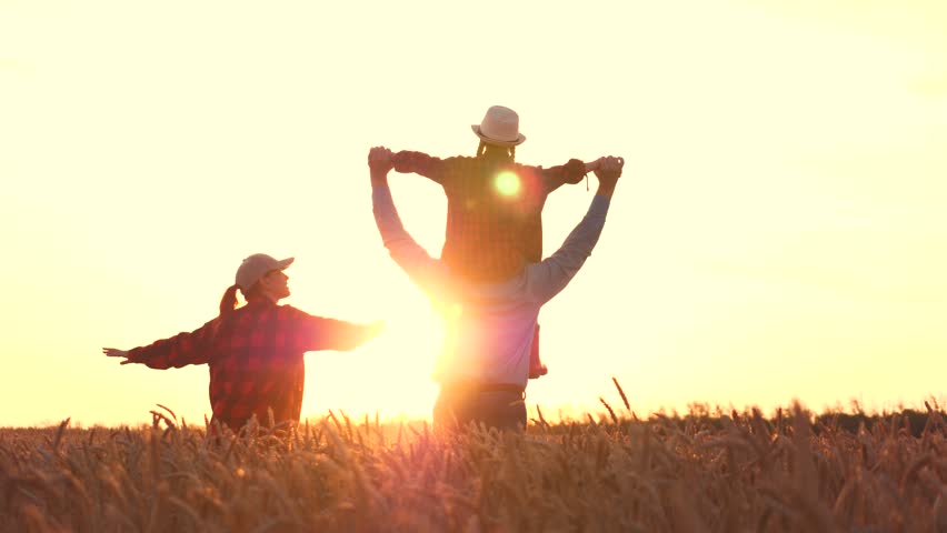 concept happy family. father carries child shoulders. family walk wheat field. Woman, man, child. family walk open air. dream, airplane pilot. My childhood dream fly. Silhouette happy family wheat