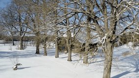 Aerial drone view through large trees revealing historic wooden family home nestled in peaceful countryside landscape on a sunny winter day. Winter in rural area. - Powered by Shutterstock - Get 15% off with code: PIKWIZARD15