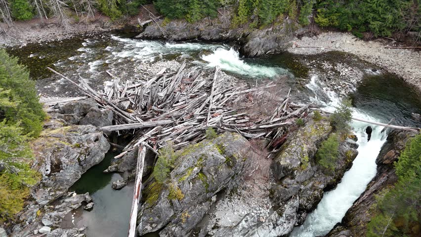 Large pile of driftwood collecting on a side of a river bend.