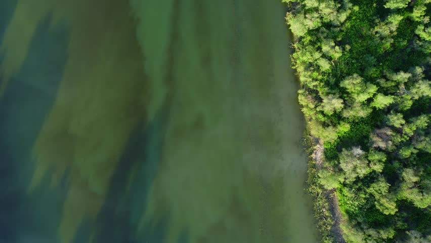 River landscape, Aerial View of reflection of forest trees and beautiful blue sky and clouds in the river, calm river lake, relaxation in nature in spring evening in jungles of Africa, Jijel Algeria.