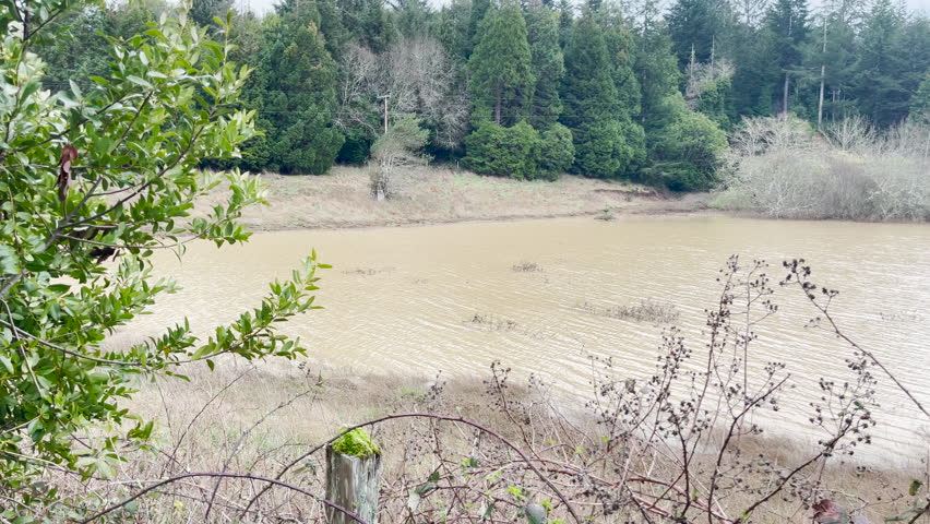 Coquille River muddy brown water at flood stage, Southern Oregon. Panning Shot.