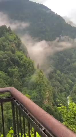 Fog rolling over green forest mountains 