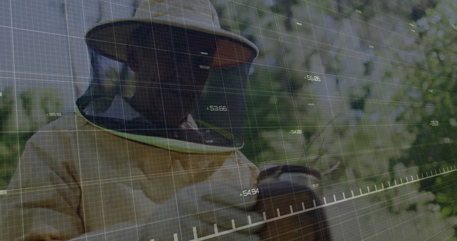 Green financial graph animation over beekeeper working in protective gear. Finance, investment, apiary, conservation, analysis, sustainability