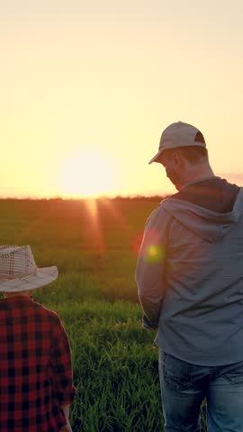 Father child son shaking hands on field. Dad kid walk on field, sun sky. Family farming business. Father's handshake of son's child on green field of sprouts, family business. Dad is raising young son
