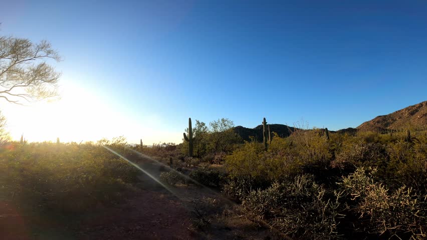 Saguaro 0033 National Park Tucson Arizona