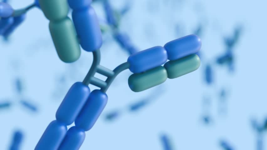 3d animation of scattered antibody molecules in motion