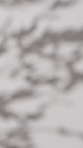 Shutterstock Video
