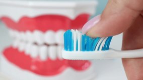 Close-up of a woman's finger running over the bristles of a toothbrush - Powered by Shutterstock - Get 15% off with code: PIKWIZARD15
