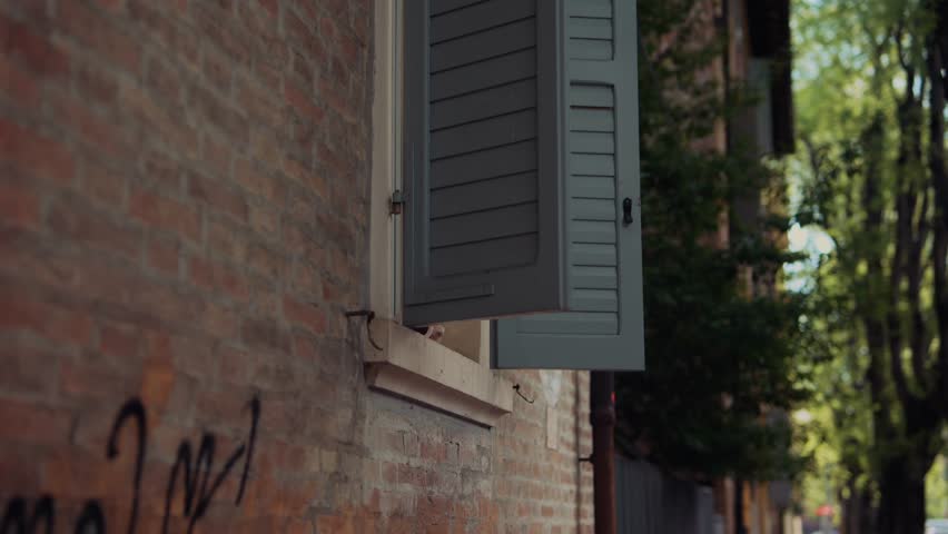 A Charming Window Scene Featuring Open Shutters and a Beautiful Flower Pot Displayed
