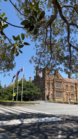 Tranquil outdoor scene of the University of Sydney viewed from beneath a tree, with large branches artistically framing the iconic campus building. Natural bird chirping sounds enhance the peaceful ac