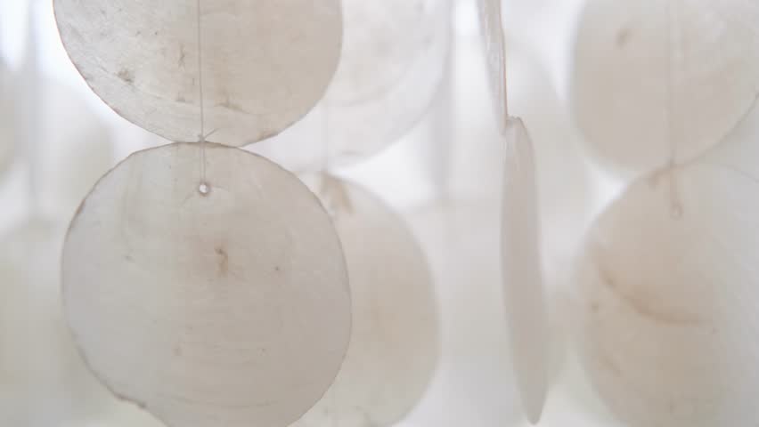 A pendant of white shells swings and jingles in the wind. Wind chime