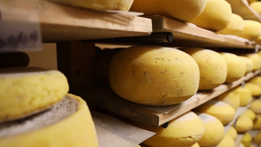 A closeup shot of cheese with herbs displayed on rustic wooden shelves in a cheese storage, with blurred background