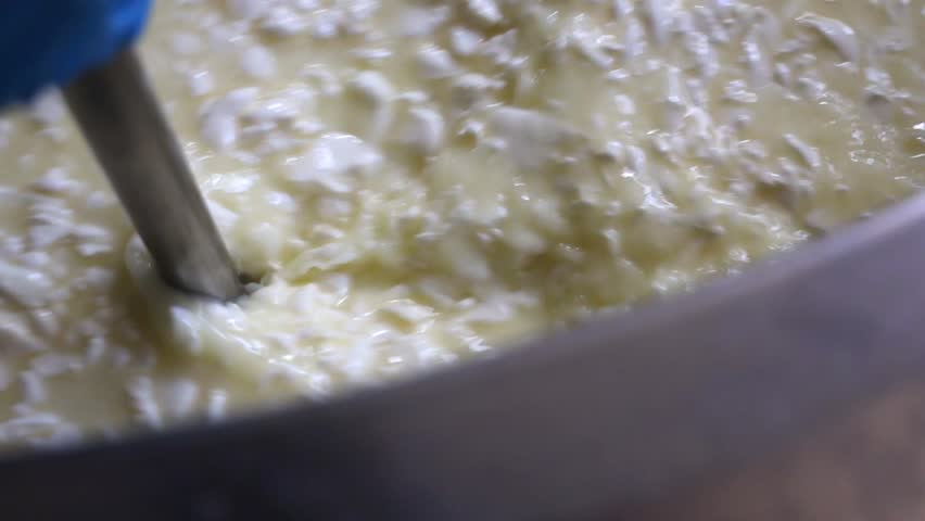 A closeup, top view of a worker separating the whey from curds during making cheese in a local cheese factory