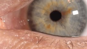 Extreme Close-up of Human Eye with Blue-Gray Iris and Yellow Flecks - Powered by Shutterstock - Get 15% off with code: PIKWIZARD15