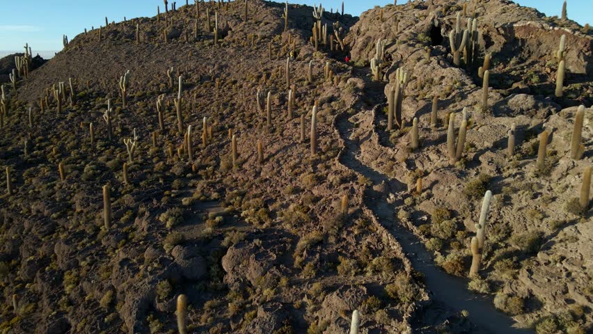 High drone pullback of Isla Incahuasi with shadow casting across surrounding salt terrain