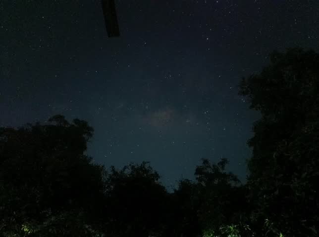 timelapse video of a night sky full of twinkling stars. the video also shows the silhouettes of trees in the forest