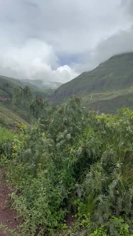 A dramatic landscape in Peru features lush green hills and mountains shrouded in mist under a cloudy sky, creating a serene and atmospheric scene.