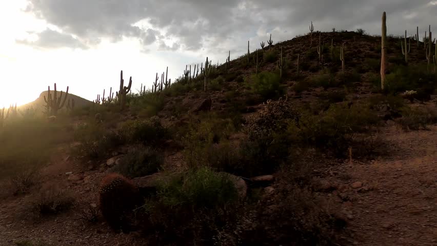 Arizona Driving 1936 Saguaro National Park Tucson