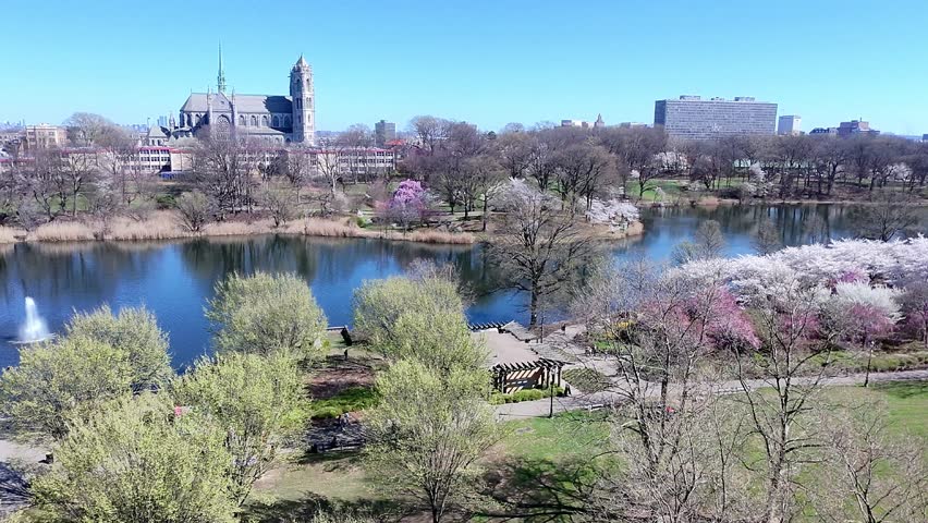 a aerial view of the Cherry Blossom Festival in Branch Brook Park Newark, New Jersey