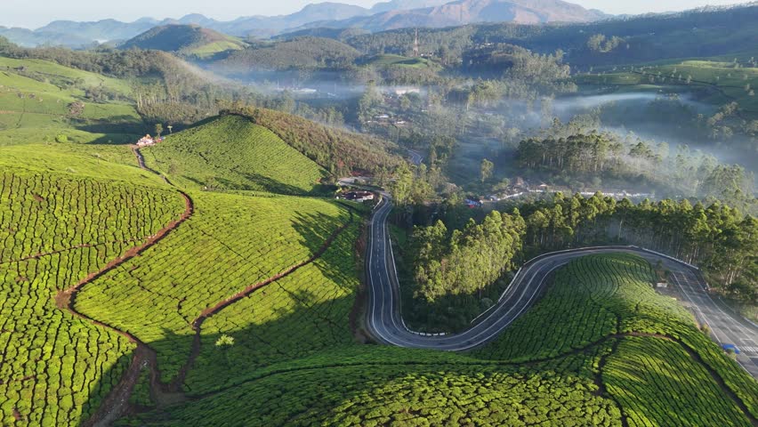 Gap Road Munnar-, rolling-hills-tea-plantations-munnar-india,Long winding mountain road leading through rural countryside in Munnar gap