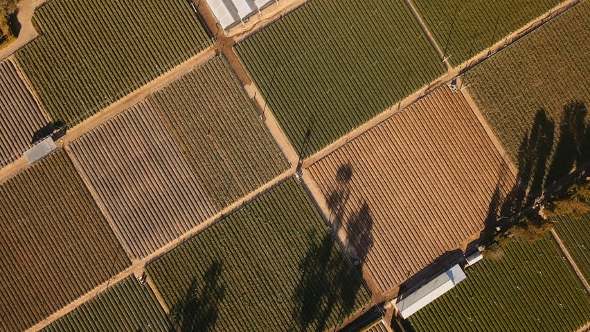 Fly high above a stunning mountain landscape showcasing both cultivated fields and a greenhouse nestled within the peaks