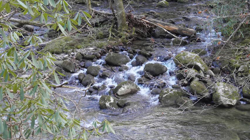 Static shot of The West Prong Little Pigeon River flowing through rocks along a trail in The Great Smoky Mountains National Park.