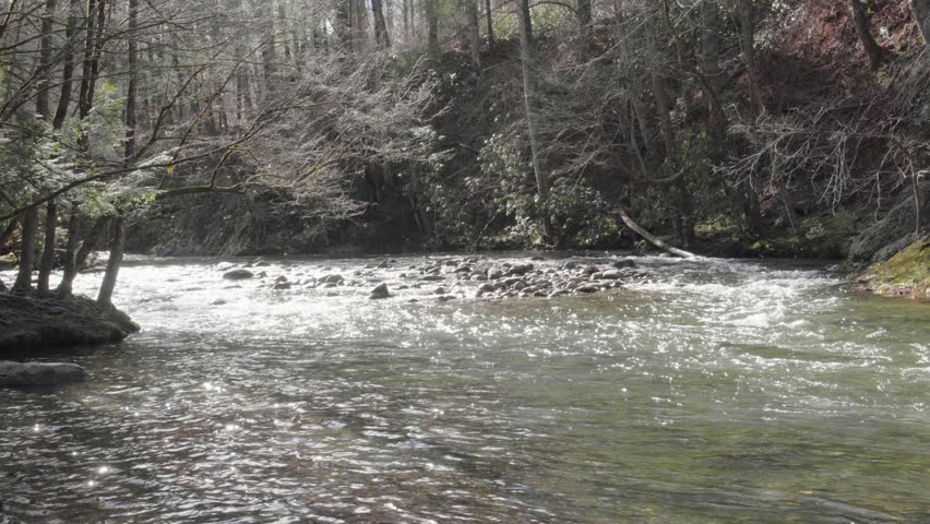The West Prong Little Pigeon River flowing in The Great Smoky Mountains National Park.