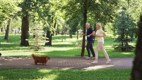 Elderly man and woman jogging together along paved park path on sunny morning while two small dogs run past in opposite direction among green trees - Powered by Shutterstock - Get 15% off with code: PIKWIZARD15