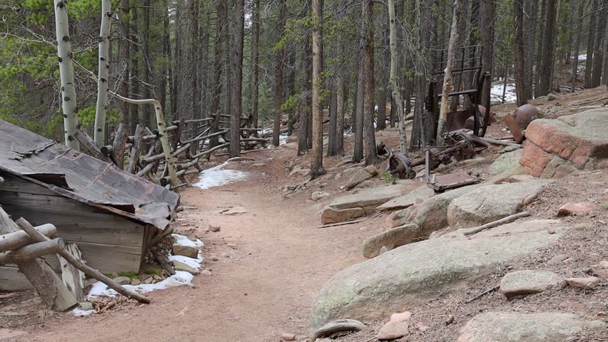 A man walks by a remote abandoned cabin along a trail in pine forest. Filmed in Staunton State Park during the spring.