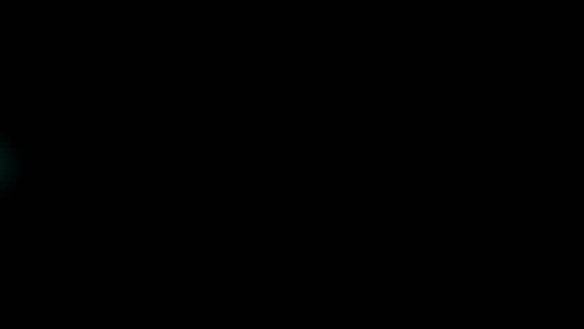Shutterstock Video
