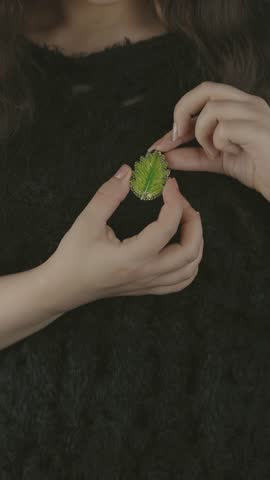 Shutterstock Video