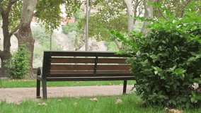 Empty wooden bench in park outdoors. - Powered by Shutterstock - Get 15% off with code: PIKWIZARD15