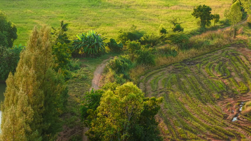 Fields and vegetation surround a motorcyclist riding on a dirt road