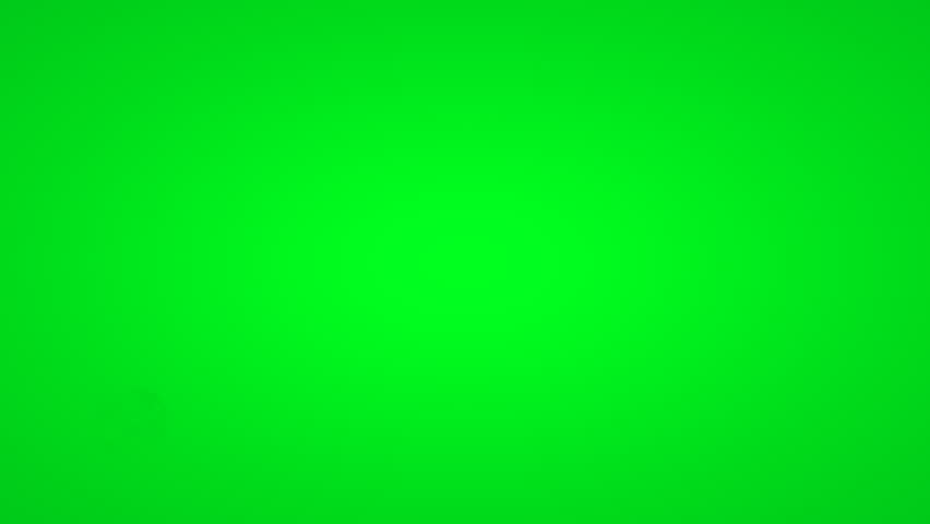 Shutterstock Video