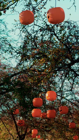 Halloween decoration Jack Lantern are hanging on the trees at bright sunny day. Vertical view