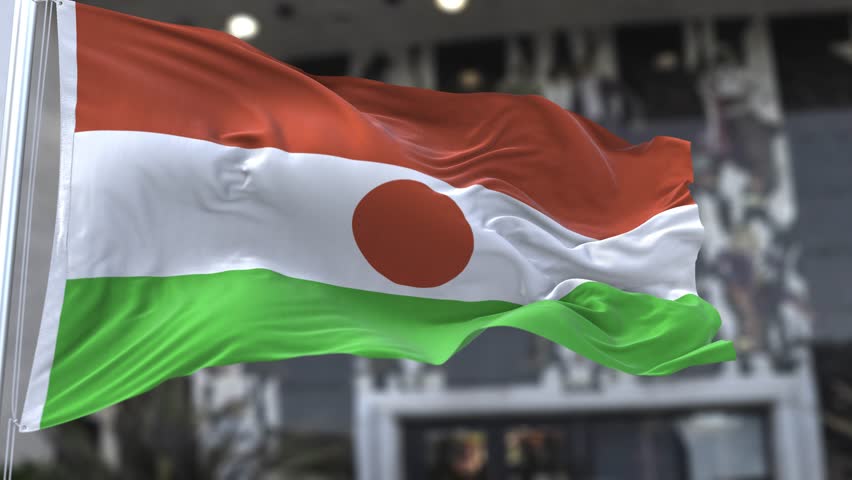 Niger Wavy Flag in the Wind Waving Official Flag 4K