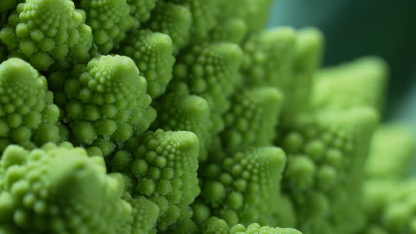 Romanesco broccoli head macro view. Green cabbage, close-up, fibonacci sequence.