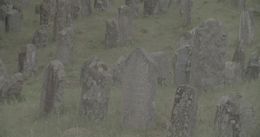 Old ancient Jewish cemetery in summer spring day. Druya, Belarus. green grass and many ancient stones. Headstone Headstones Tombstones jewish grave, clog2, clog, canon c70 c log 2.