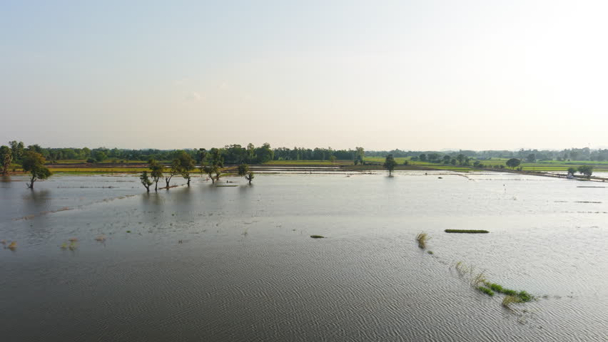 Traditional Thai houses in a rural area floating on a river