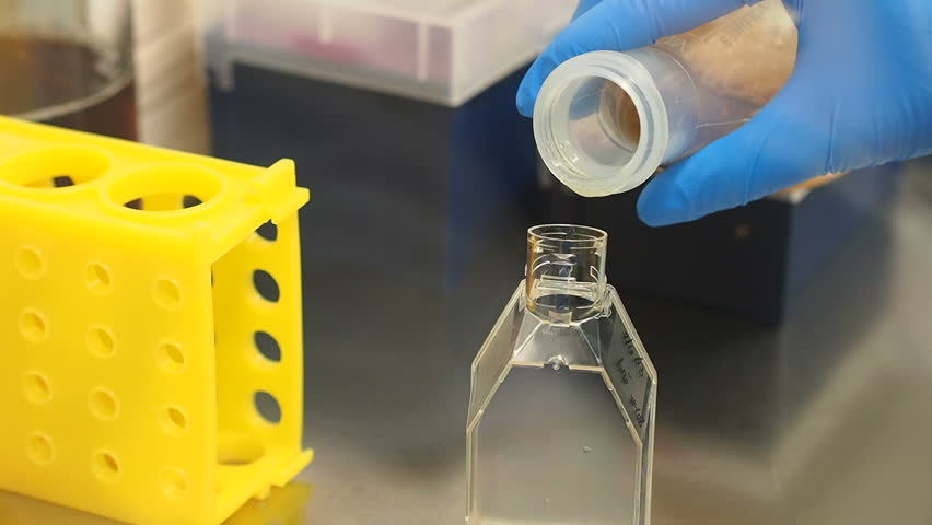Scientist works in a lab- close up of chemical assay