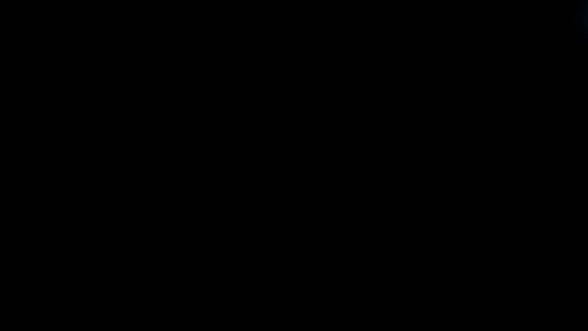 Shutterstock Video