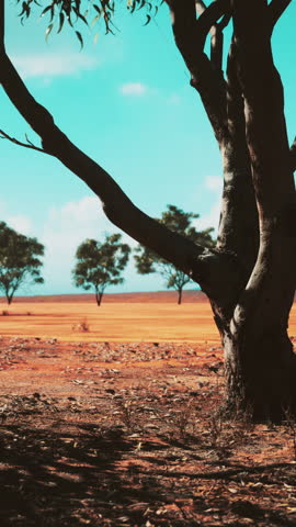 beautiful landscape with tree in Africa