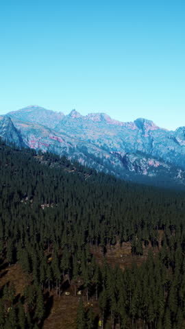 Cascade Mountain and surrounding Canadian Rocky Mountains in summer time
