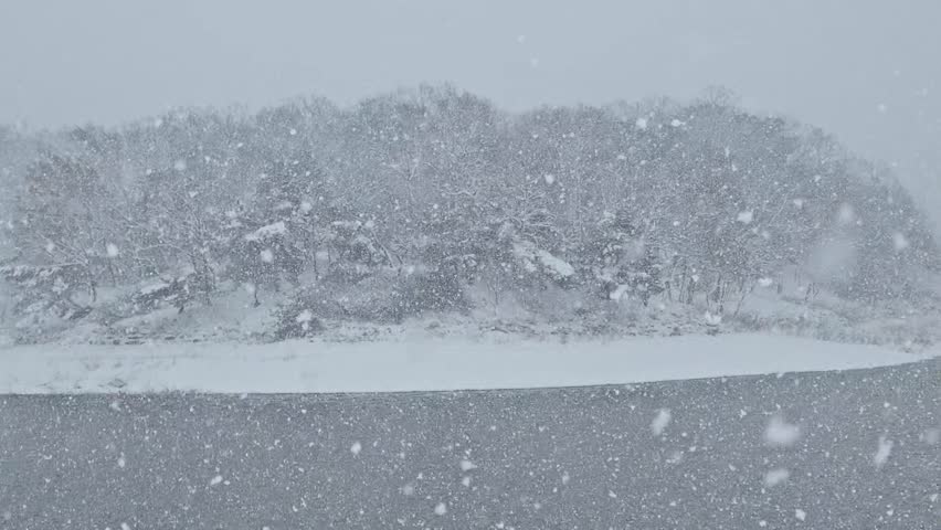 Snowy scenery of Hoamji Pond in Chungju, South Korea 충주호암지설경 韓國忠州雪景