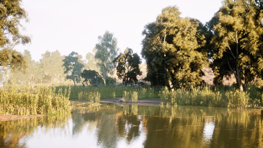 A serene river flows gently through a lush green landscape filled with vibrant trees under the bright daylight. The scene exudes peace and natural beauty, inviting relaxation and reflection.