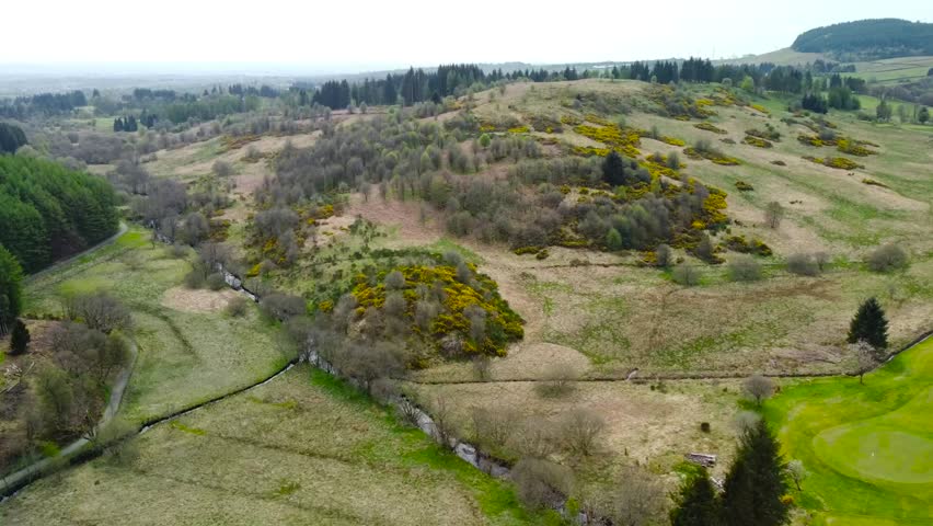 Aerial drone view of gorgeous green and yellow mossy and grassy Scottish plains and fields with a mountain or a hill visible in the cloudy background. Large trees and brown grass in the rural country.