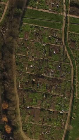 Vertical View of Community Garden in the City