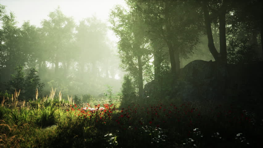 A serene forest scene captures soft morning light filtering through trees. Lush greenery and colorful flowers create a tranquil atmosphere, inviting exploration and reflection.