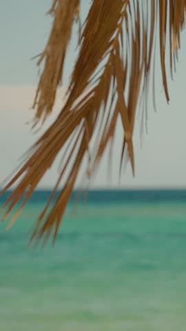 Vertical Screen: Sea waves softly blurred and focus on plants in the foreground. Unfocused shot of a beach with no people.