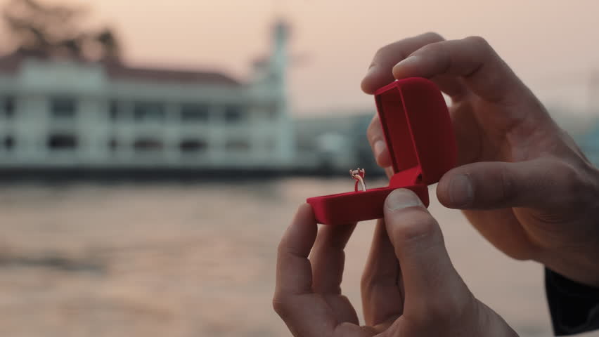 Shutterstock Video